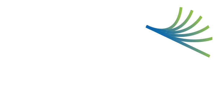 B2MV